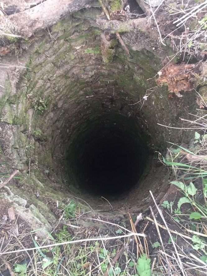 Новини Тернополя - фото з На Тернопільщині рятували корову, яка провалилась в занедбаний колодязь На Тернопільщині рятували корову, яка провалилась в занедбаний колодязь, фото №2 на сайті 20minut.ua