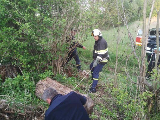 Новини Тернополя - фото з На Тернопільщині рятували корову, яка провалилась в занедбаний колодязь На Тернопільщині рятували корову, яка провалилась в занедбаний колодязь, фото №1 на сайті 20minut.ua