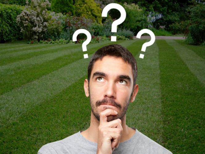 Які інструменти обов'язково пригодяться на дачі: мотокоса, аератор, оприскувач і т.д.