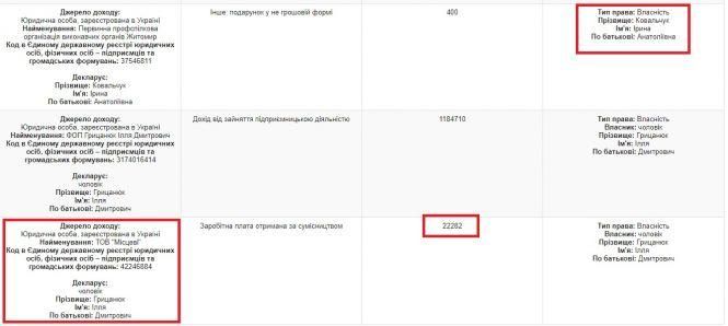 Управління молоді Житомира під час карантину фінансує політичну партію (доповнено), фото №15 на сайті 20minut.ua