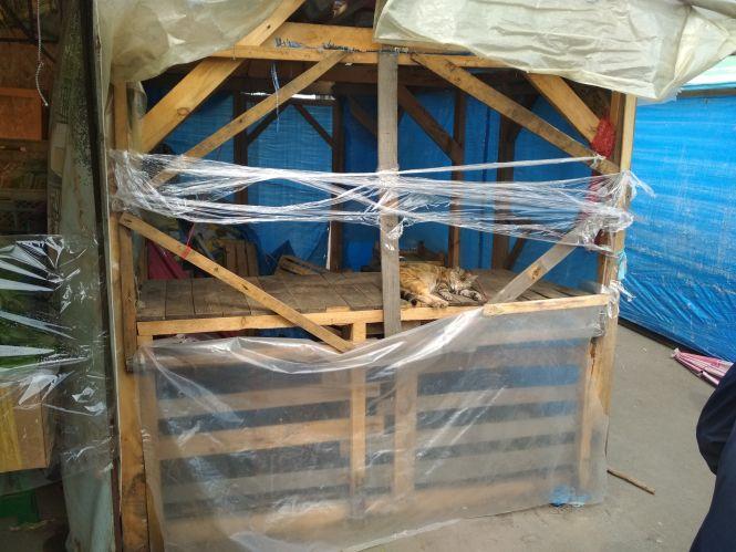 Новини Вінниці - фото з Що по чому: скільки коштують овочі та фрукти на ринку «Привокзальний» Що по чому: скільки коштують овочі та фрукти на ринку «Привокзальний», фото №3 на сайті 20minut.ua