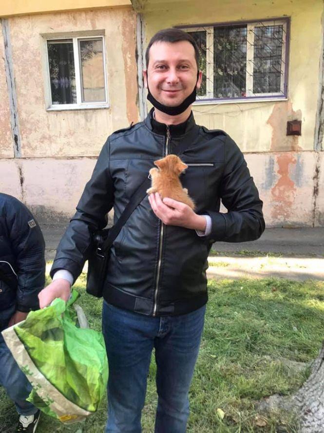 На Грибоєдова рятувальники з дерева зняли двох кошенят, які три дні просили про допомогу, фото №2 на сайті 20minut.ua