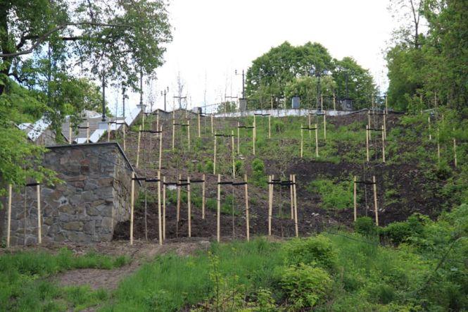 Новини Житомира - фото з У Житомирі продовжується реконструкція набережної У Житомирі продовжується реконструкція набережної, фото №4 на сайті 20minut.ua