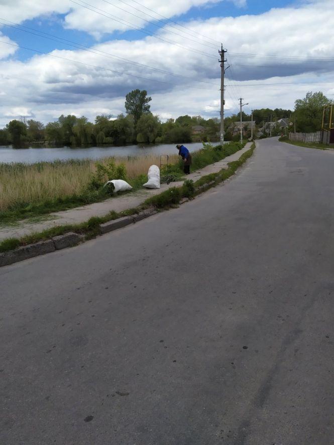 Новини Козятина - фото з Фото дня: ремонтують дороги, садять дерева Фото дня: ремонтують дороги, садять дерева, фото №3 на сайті 20minut.ua