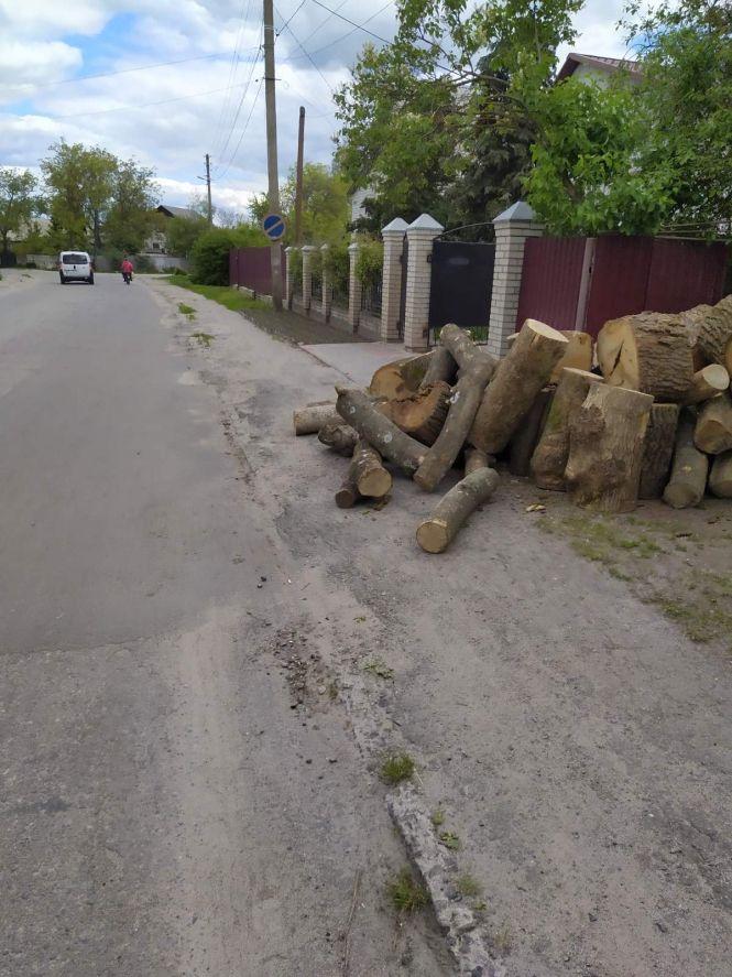 Новини Козятина - фото з Фото дня: ремонтують дороги, садять дерева Фото дня: ремонтують дороги, садять дерева, фото №2 на сайті 20minut.ua