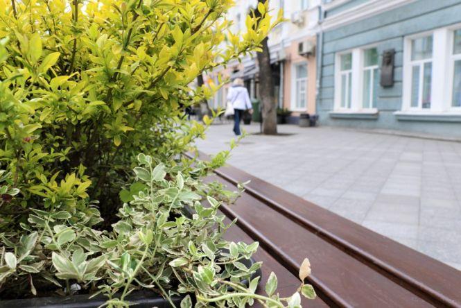 На Михайлівській встановлюють лавки з декоративними рослинами, фото №1 на сайті 20minut.ua