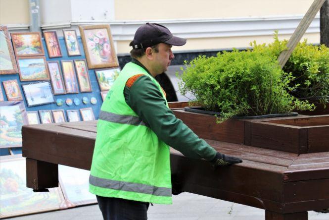 На Михайлівській встановлюють лавки з декоративними рослинами, фото №3 на сайті 20minut.ua