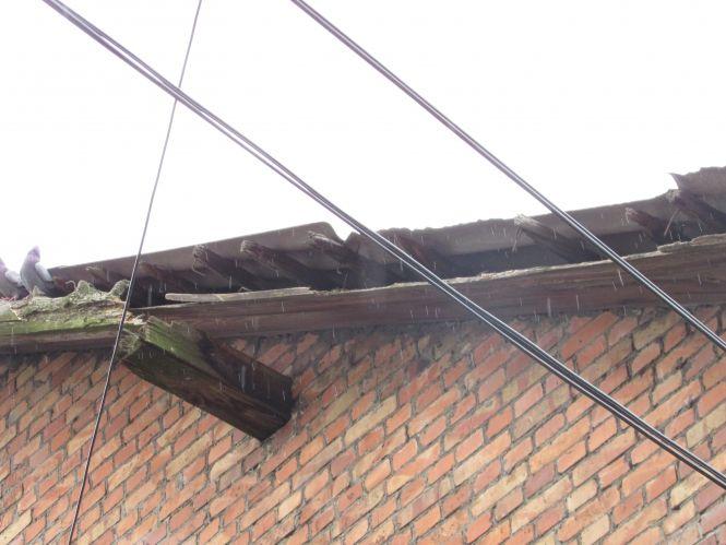 Репортаж з вулиці Олега Кошового: «Поїхали дивитися дорогу та побачили інше», фото №3 на сайті 20minut.ua