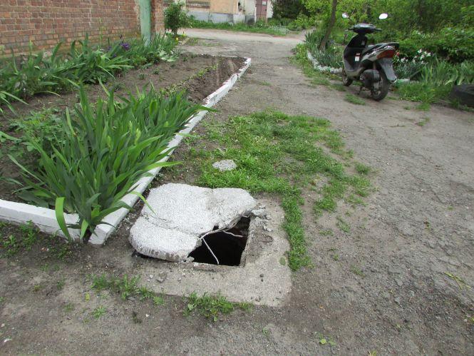 Репортаж з вулиці Олега Кошового: «Поїхали дивитися дорогу та побачили інше», фото №4 на сайті 20minut.ua