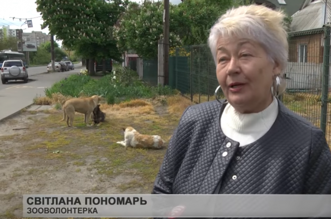 Новини Вінниці - фото з «Люди не завжди дякують, а собаки завжди»: вінничанка підгодовує безпритульних псів «Люди не завжди дякують, а собаки завжди»: вінничанка підгодовує безпритульних псів, фото №2 на сайті 20minut.ua