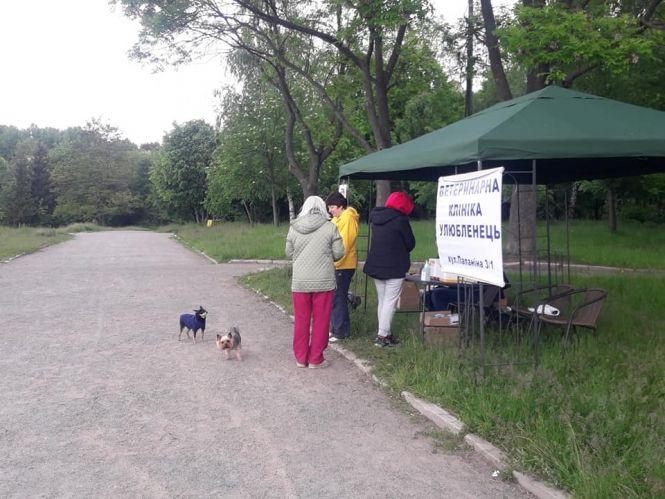 Новини Вінниці - фото з У парку Дружби народів до 18.00 безкоштовно консультує ветеринар У парку Дружби народів до 18.00 безкоштовно консультує ветеринар, фото №1 на сайті 20minut.ua