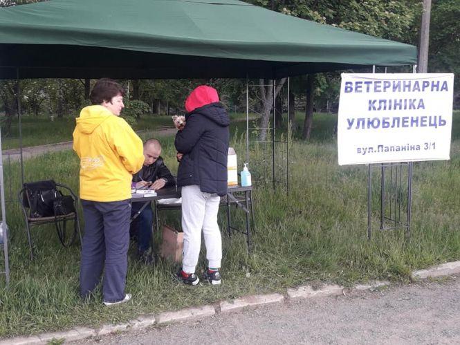 Новини Вінниці - фото з У парку Дружби народів до 18.00 безкоштовно консультує ветеринар У парку Дружби народів до 18.00 безкоштовно консультує ветеринар, фото №2 на сайті 20minut.ua