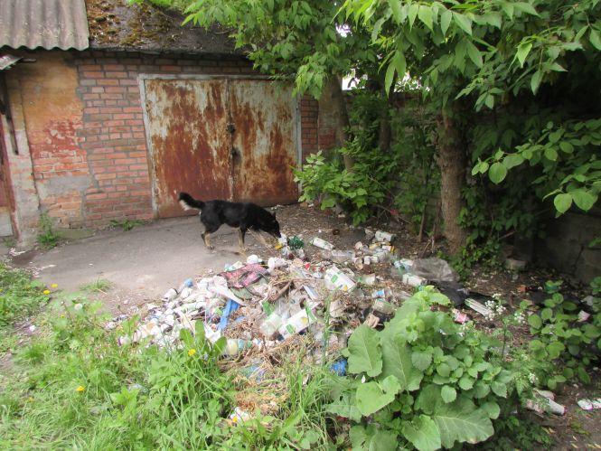 «Такого срачу в центрі міста не повинно бути». Про смітник у «Тихому місці», фото №2 на сайті 20minut.ua