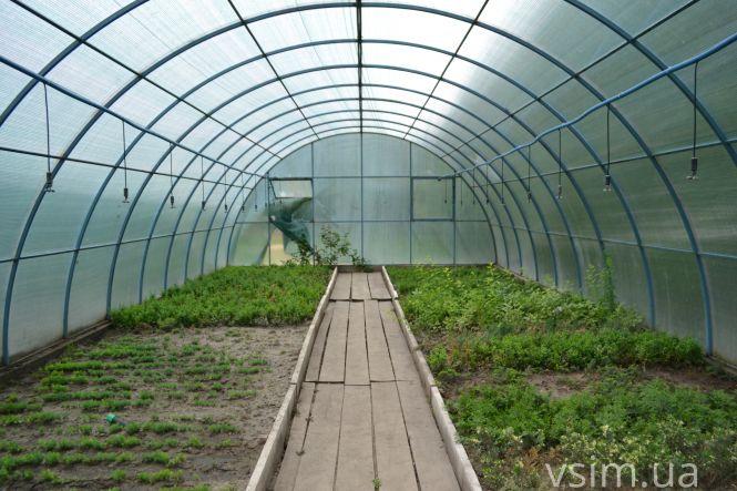 В лісгоспі на Хмельниччині створили власний бренд та вирощують екопродукцію, фото №7 на сайті vsim.ua