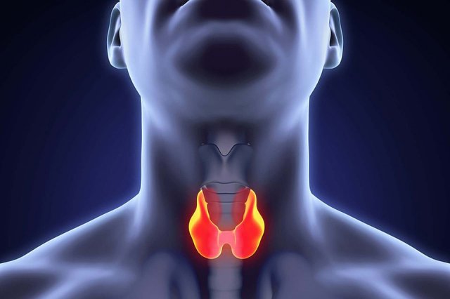 Новини Вінниці - фото з Шість років тому Президентом обрали Порошенка. Історія, заборони і прикмети 25 травня Всесвітній день щитовидної залози - фото 405896