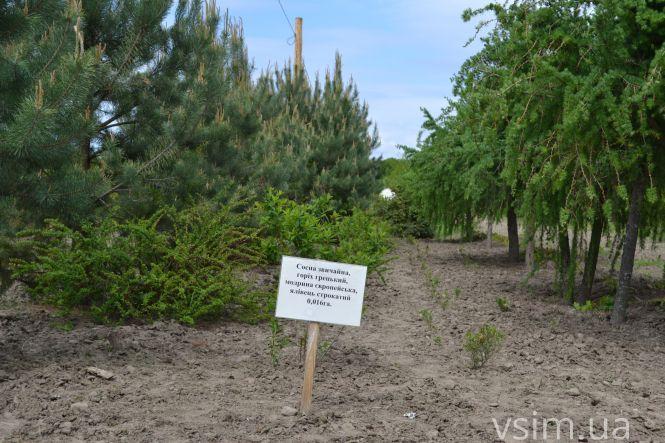 В лісгоспі на Хмельниччині створили власний бренд та вирощують екопродукцію, фото №5 на сайті vsim.ua