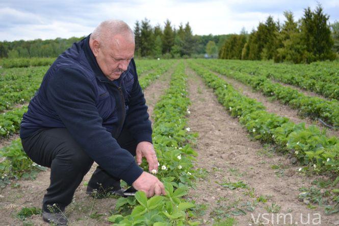 В лісгоспі на Хмельниччині створили власний бренд та вирощують екопродукцію, фото №2 на сайті vsim.ua