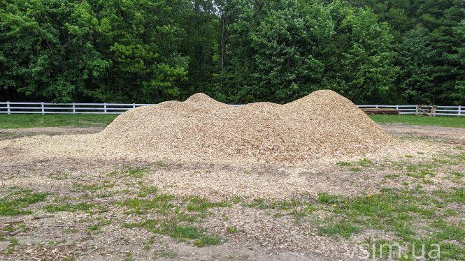 В лісгоспі на Хмельниччині створили власний бренд та вирощують екопродукцію, фото №18 на сайті vsim.ua