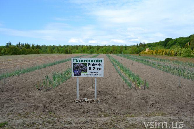 В лісгоспі на Хмельниччині створили власний бренд та вирощують екопродукцію, фото №6 на сайті vsim.ua