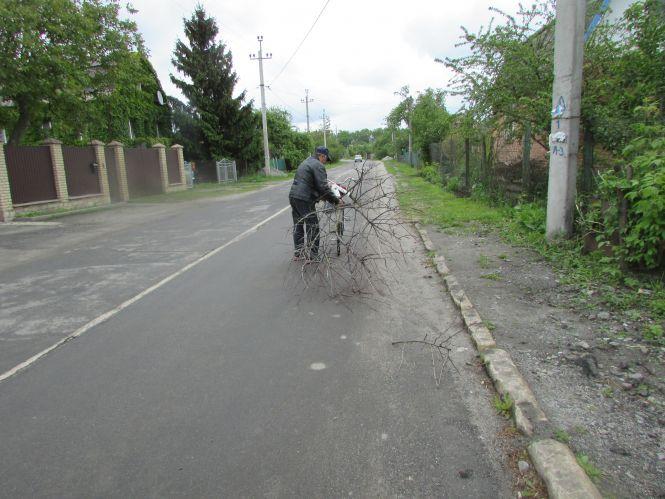 Фото дня: футбол на карантині,  «частка» субсидії та заготовка сіна, фото №1 на сайті 20minut.ua