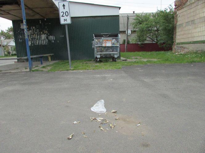 Фото дня: футбол на карантині,  «частка» субсидії та заготовка сіна, фото №3 на сайті 20minut.ua