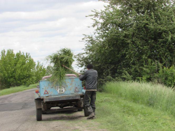 Фото дня: футбол на карантині,  «частка» субсидії та заготовка сіна, фото №4 на сайті 20minut.ua
