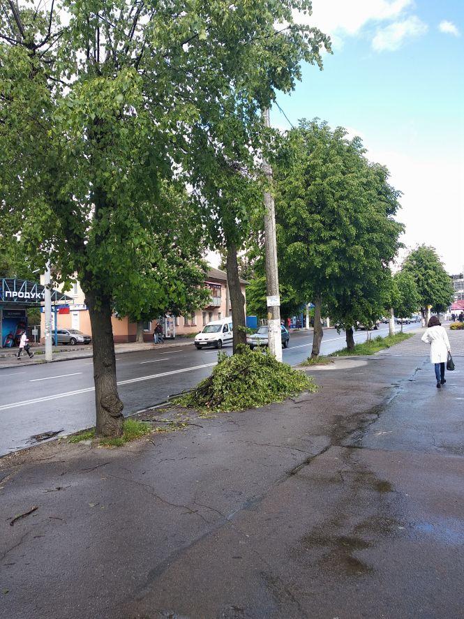 Новини Житомира - фото з "Комунальне торнадо" пронеслося вулицею Перемоги. ФОТО "Комунальне торнадо" пронеслося вулицею Перемоги. ФОТО, фото №1 на сайті 20minut.ua
