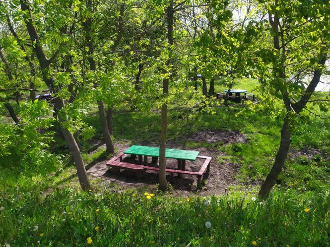 Новини Козятина - фото з Причепурили зону відпочинку «Талимонівка»