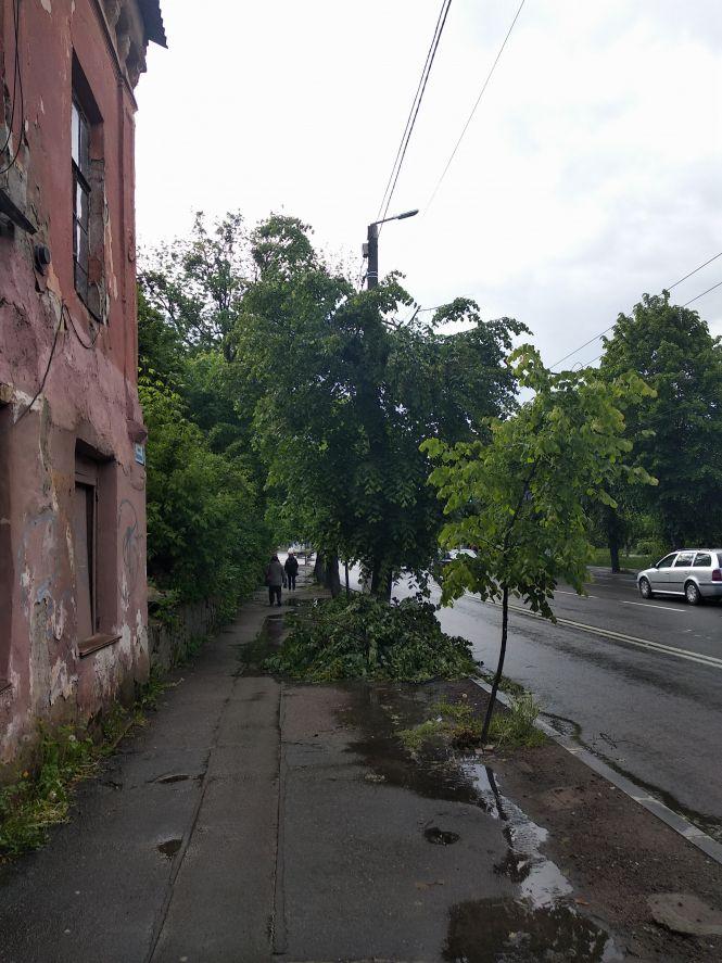 Новини Житомира - фото з "Комунальне торнадо" пронеслося вулицею Перемоги. ФОТО "Комунальне торнадо" пронеслося вулицею Перемоги. ФОТО, фото №2 на сайті 20minut.ua