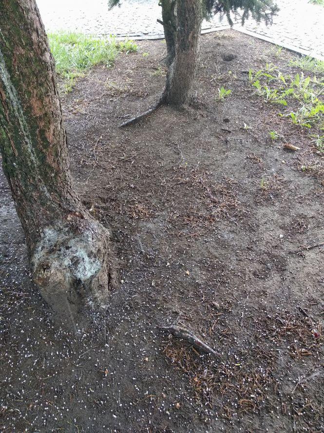 У Житомирі пройшла злива з градом. ФОТО, фото №2 на сайті 20minut.ua