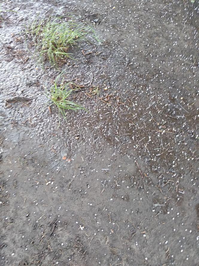 У Житомирі пройшла злива з градом. ФОТО, фото №3 на сайті 20minut.ua