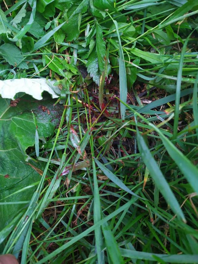 Світлина від Ходи Наді.