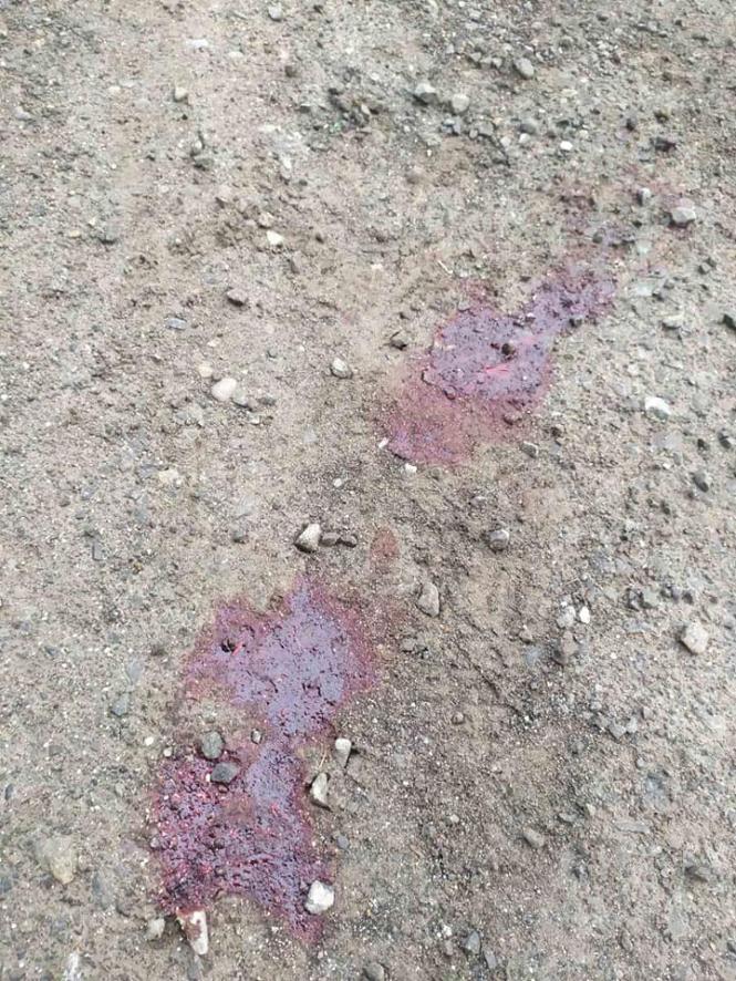 Світлина від Ходи Наді.