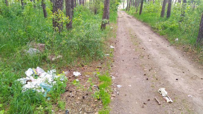 Новини Житомира - фото з Одне з найбагатших міст Житомирщини перетворилося на звичайний смітник. Фоторепортаж Одне з найбагатших міст Житомирщини перетворилося на звичайний смітник. Фоторепортаж, фото №1 на сайті 20minut.ua