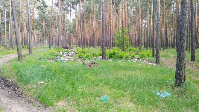 Новини Житомира - фото з Одне з найбагатших міст Житомирщини перетворилося на звичайний смітник. Фоторепортаж Одне з найбагатших міст Житомирщини перетворилося на звичайний смітник. Фоторепортаж, фото №2 на сайті 20minut.ua