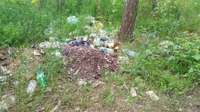 Новини Житомира - фото з Одне з найбагатших міст Житомирщини перетворилося на звичайний смітник. Фоторепортаж Одне з найбагатших міст Житомирщини перетворилося на звичайний смітник. Фоторепортаж, фото №4 на сайті 20minut.ua