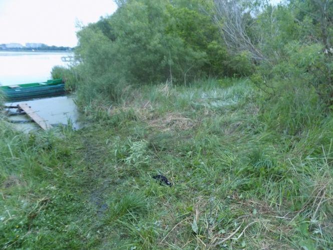 Вбивство військового у Барському районі: розповіли нові деталі та затримали підозрюваного, фото №2 на сайті 20minut.ua