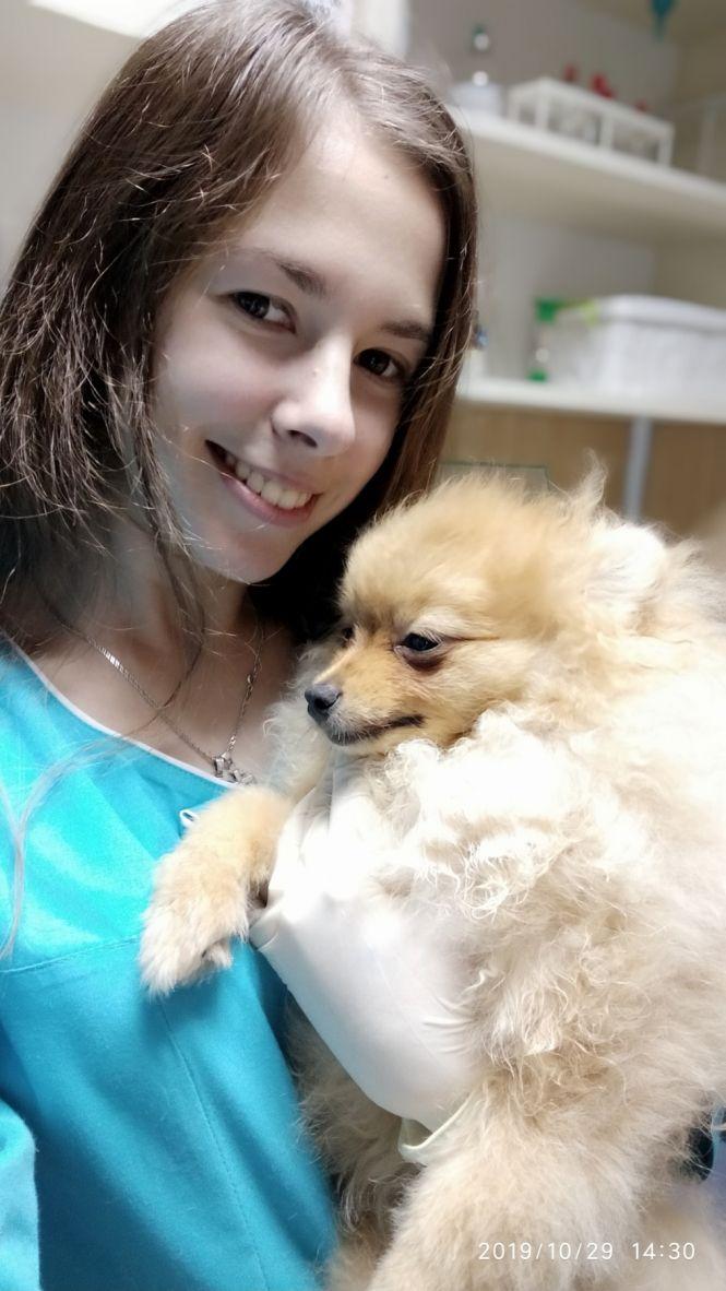 Як захистити свого улюбленця від паразитів (Новини компаній), фото №2 на сайті 20minut.ua