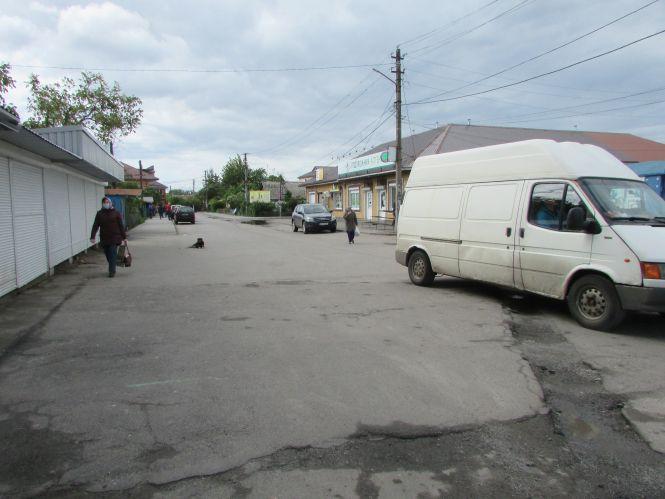 Аварійний каштан, вандали на клумбі та вулиці Білої Казарми в темноті, фото №2 на сайті 20minut.ua