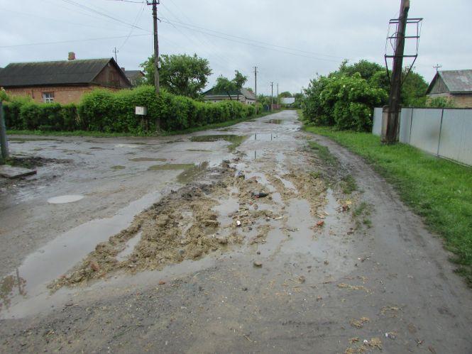 Аварійний каштан, вандали на клумбі та вулиці Білої Казарми в темноті, фото №9 на сайті 20minut.ua