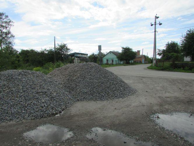 Аварійний каштан, вандали на клумбі та вулиці Білої Казарми в темноті, фото №7 на сайті 20minut.ua