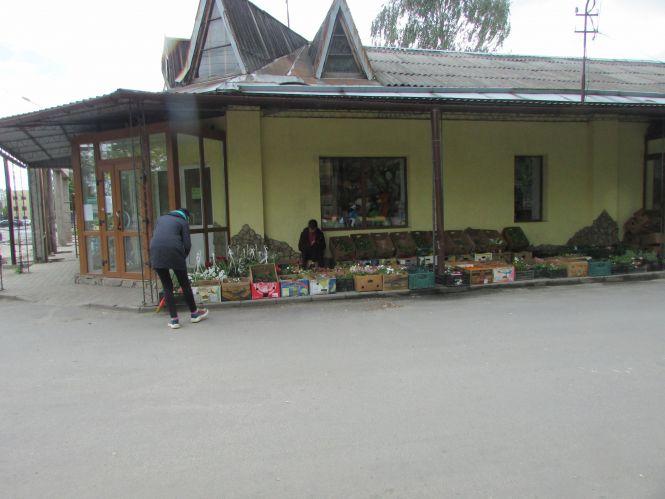 Аварійний каштан, вандали на клумбі та вулиці Білої Казарми в темноті, фото №4 на сайті 20minut.ua