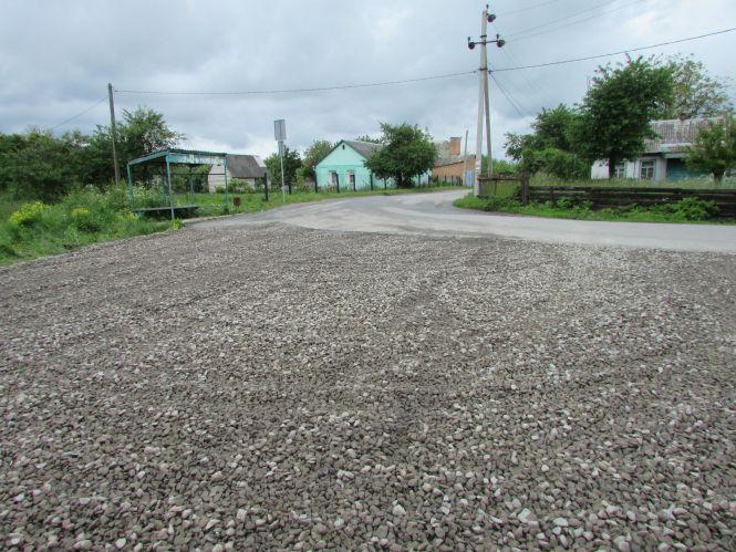 Аварійний каштан, вандали на клумбі та вулиці Білої Казарми в темноті, фото №8 на сайті 20minut.ua