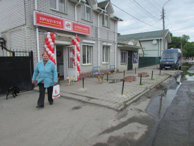 Аварійний каштан, вандали на клумбі та вулиці Білої Казарми в темноті, фото №3 на сайті 20minut.ua