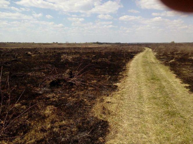 Новини Хмельницького - фото з Мешканця Хмельниччини оштрафували за підпал очерету. Скільки доведеться заплатити Мешканця Хмельниччини оштрафували за підпал очерету. Скільки доведеться заплатити, фото №2 на сайті vsim.ua