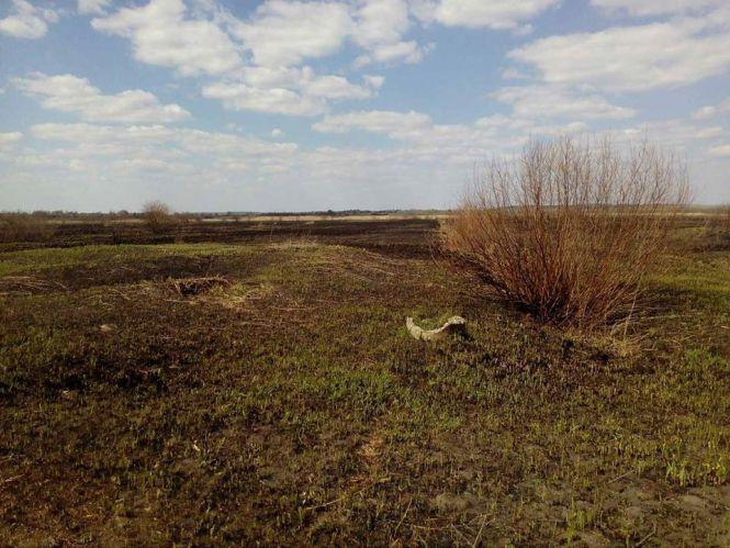 Новини Хмельницького - фото з Мешканця Хмельниччини оштрафували за підпал очерету. Скільки доведеться заплатити Мешканця Хмельниччини оштрафували за підпал очерету. Скільки доведеться заплатити, фото №1 на сайті vsim.ua