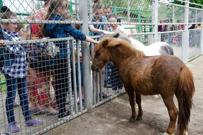 Карантинні канікули. Якщо табори під питанням, то чим зайнятись маленьким вінничанам влітку?, фото №7 на сайті 20minut.ua