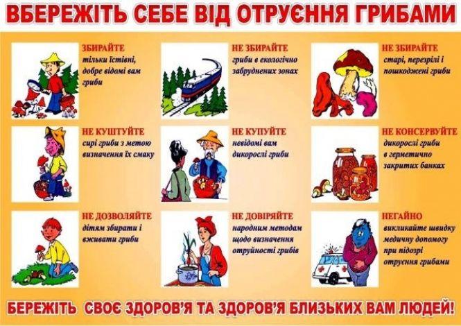 Новини Козятина - фото з Грибний сезон: що потрібно знати, аби не отруїтися