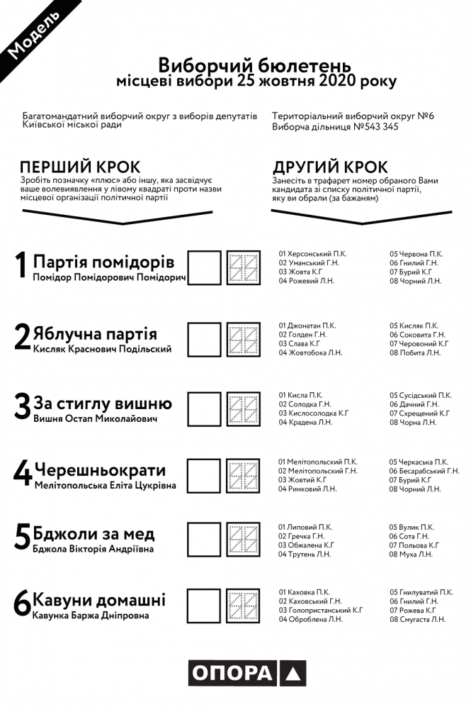 Новини Тернополя - фото з Чотири бюлетені, трафарет і вперше обиратимемо районних депутатів: усе про місцеві вибори Чотири бюлетені, трафарет і вперше обиратимемо районних депутатів: усе про місцеві вибори, фото №1 на сайті 20minut.ua