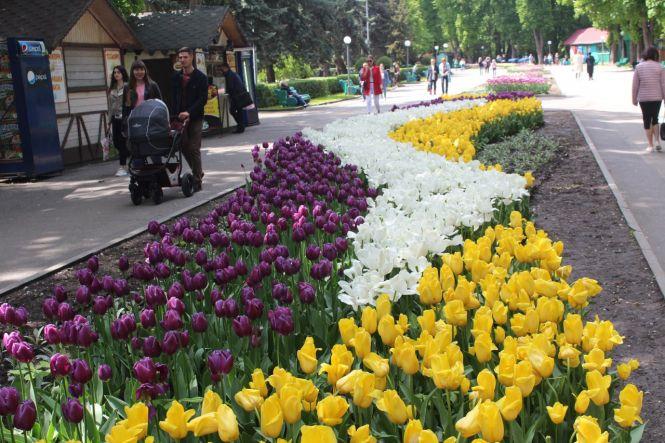 «Коронавірус не зник». Мер Вінниці пропонує робити зауваження людям, які без масок, фото №2 на сайті 20minut.ua